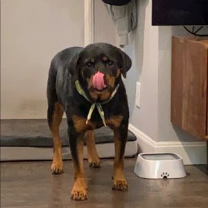 Meet your Posher, Derek